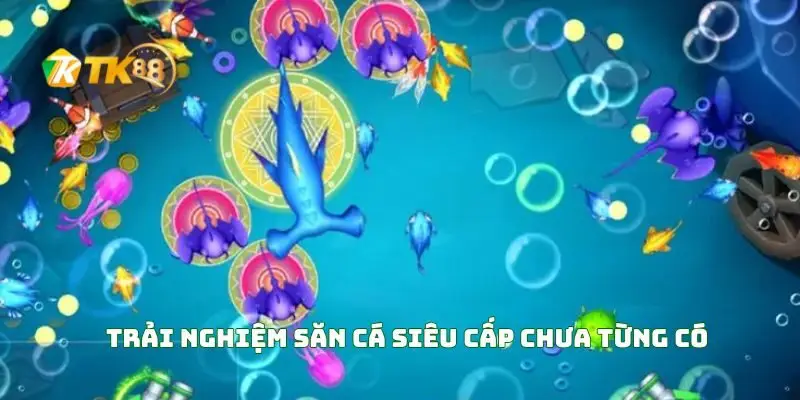 Trải Nghiệm Săn Cá Siêu Cấp Chưa Từng Có!